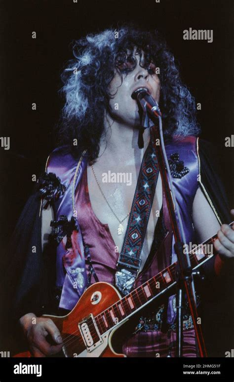 tvrex|tyrannosaurus rex band.